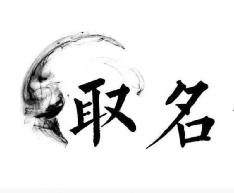  龙山宝宝取名 大师一对一人工起名