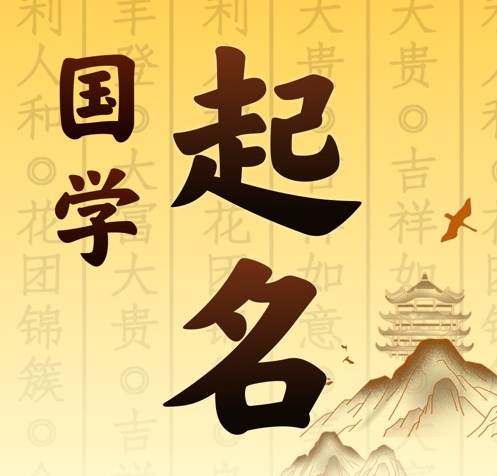 龙山国学起名 人工起名一对一