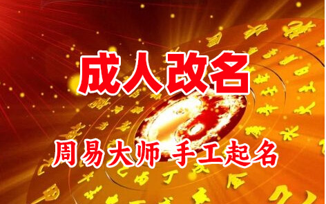 龙山成人改名-找大师一对一改名先分析后改名